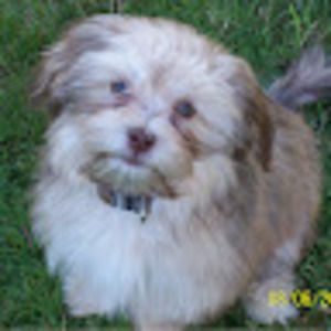 Meet your Posher, Barb